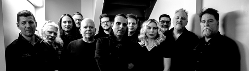 Comfortably Numb Team